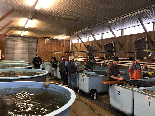 Lake Snowden Fish Hatchery