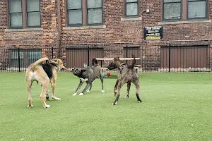 Midtown Dog Park image