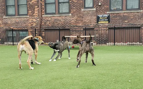 Midtown Dog Park image