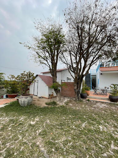 Bird of Paradise Homestay