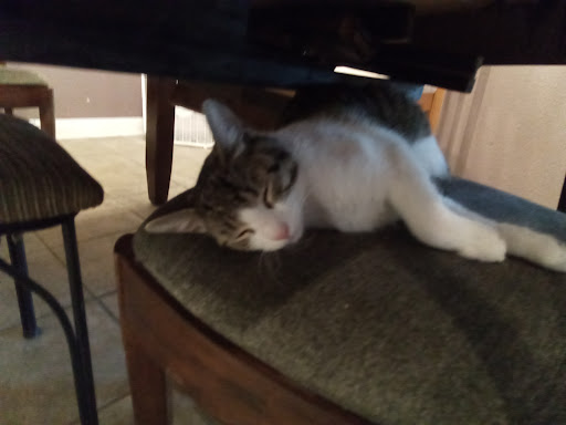 Community College «San Juan College», reviews and photos