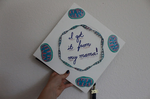 Art Supply Store «Artist & Craftsman Supply Berkeley», reviews and photos, 2573 Shattuck Ave, Berkeley, CA 94704, USA