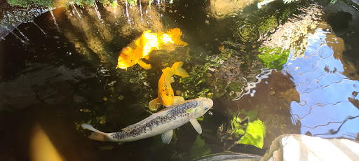 Explore tattoo ideas for daughters name, creative tattoo ideas in Albuquerque, available at Evolution Body Piercing