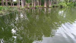 Greenfield Lake Amphitheater - photo 89