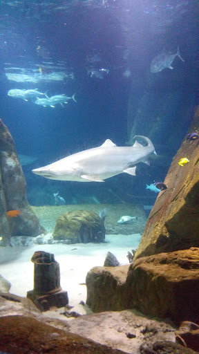 Pet Supply Store «Petco Animal Supplies», reviews and photos, 806 Sunrise Hwy, Baldwin, NY 11510, USA