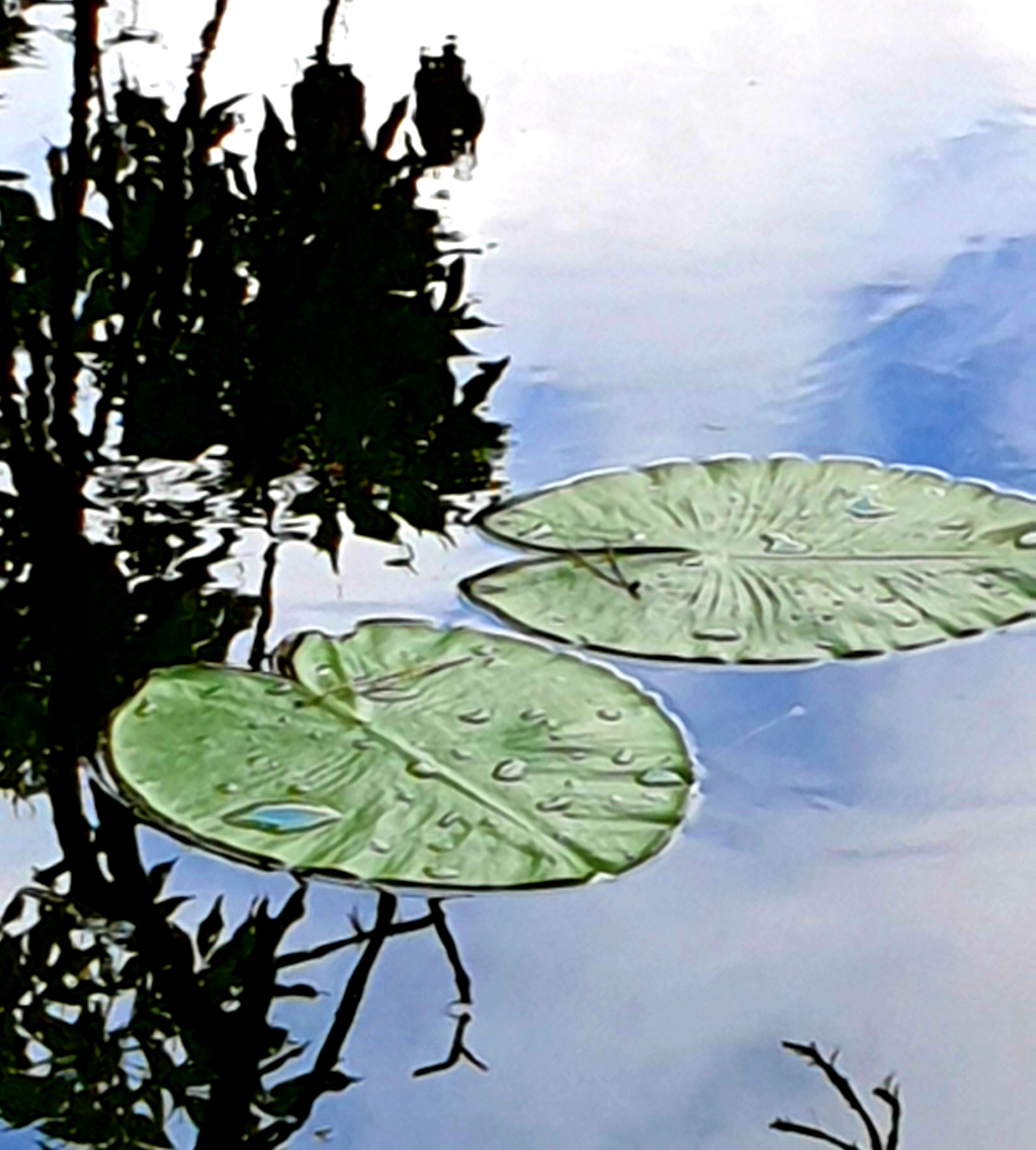 Photo n° 1 de l'avis de Vi-Harmonie. fait le 06/08/2023 à 15:27