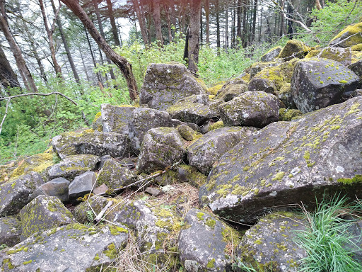 Tourist Attraction «Wahkeena Falls», reviews and photos, Wahkeena Trail #420, Corbett, OR 97019, USA