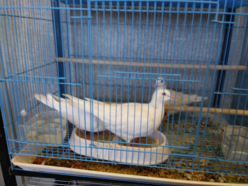 Pet Supply Store «College Greens Pet Center», reviews and photos, 3311 Julliard Dr # A, Sacramento, CA 95826, USA