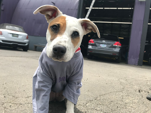 Auto Repair Shop «Green Drop Garage - Moreland», reviews and photos, 5321 SE 28th Ave, Portland, OR 97202, USA