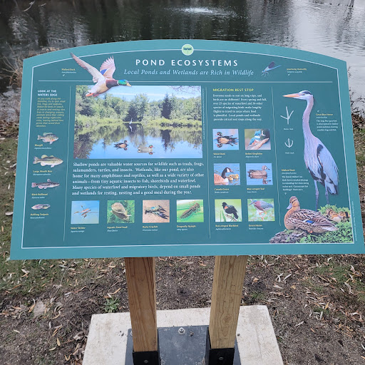 Nature Preserve «Wildwood Nature Center», reviews and photos, 529 Forestview Ave, Park Ridge, IL 60068, USA