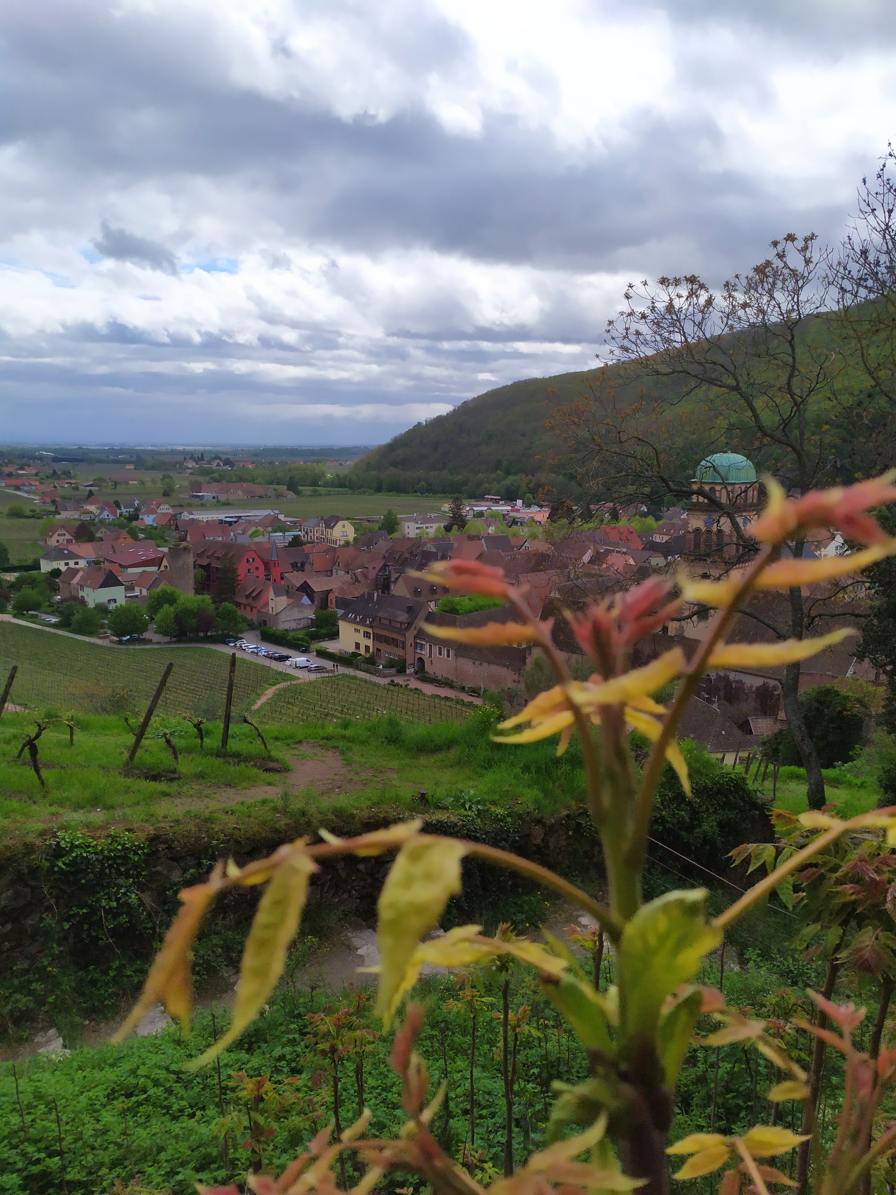 Photo n° 13 de l'avis de giuliani.a fait le 27/04/2019 à 21:08