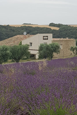 Le Mas de Trotte-Vache à Valensole