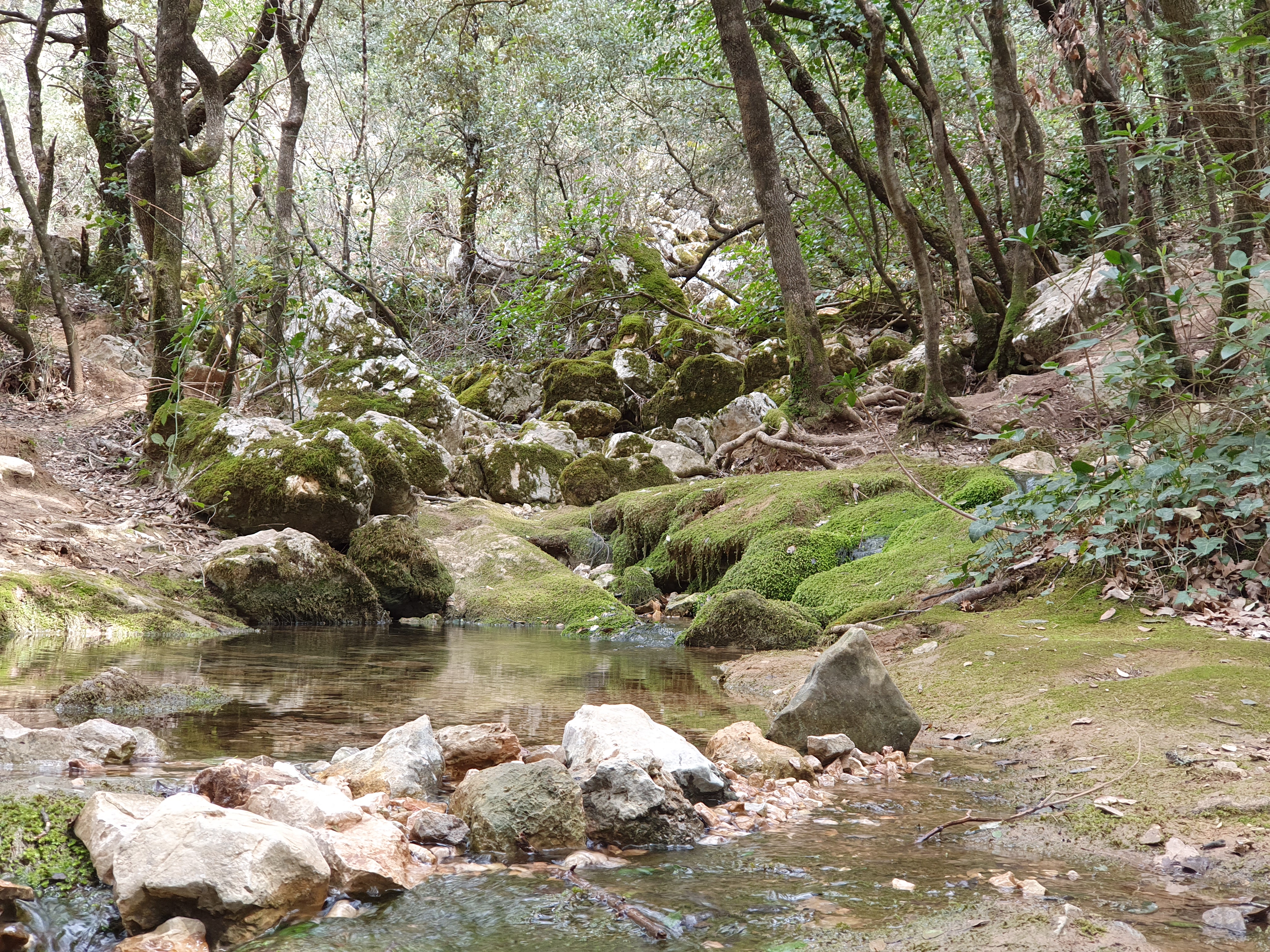Photo n° 3 de l'avis de Vale.e fait le 04/10/2019 à 16:15