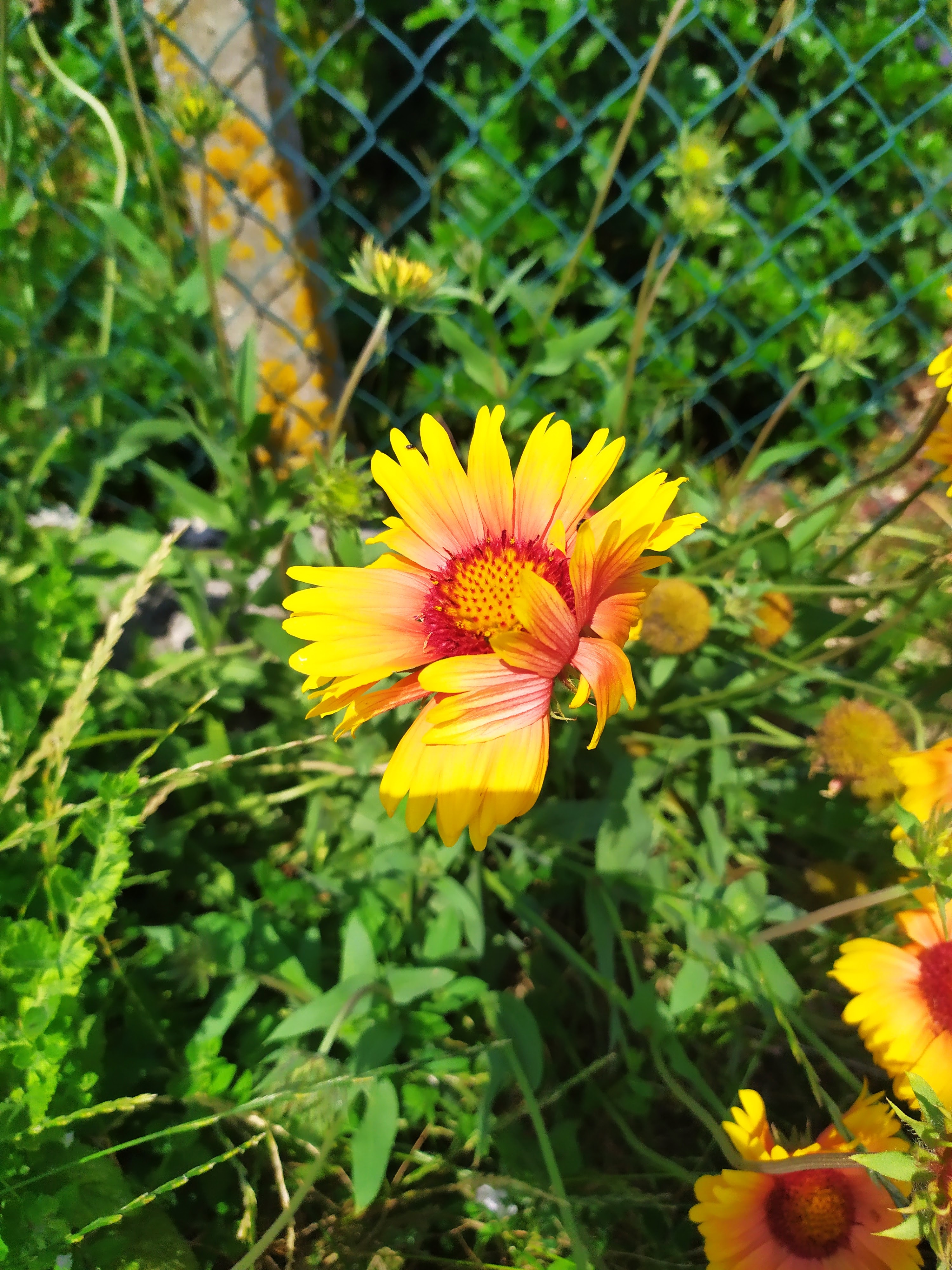 Photo n° 13 de l'avis de Christelle.E fait le 23/06/2022 à 19:09