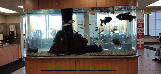 Toyota Dealer «Maplewood Toyota», reviews and photos, 2873 Maplewood Dr, Maplewood, MN 55109, USA