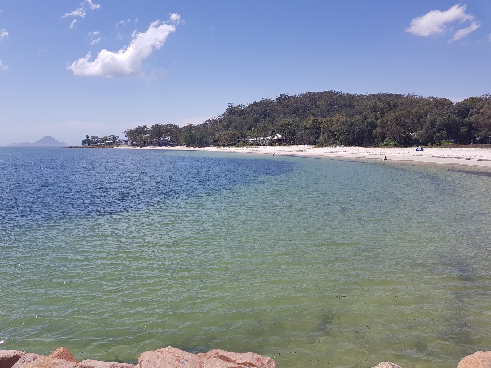 Foto van Corlette Beach - goede huisdiervriendelijke plek voor vakantie