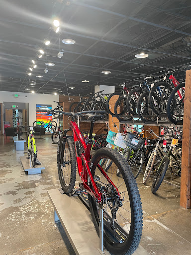 Bicycle Store «Trek Bicycle Store», reviews and photos, 331 Tukwila Pkwy, Seattle, WA 98188, USA