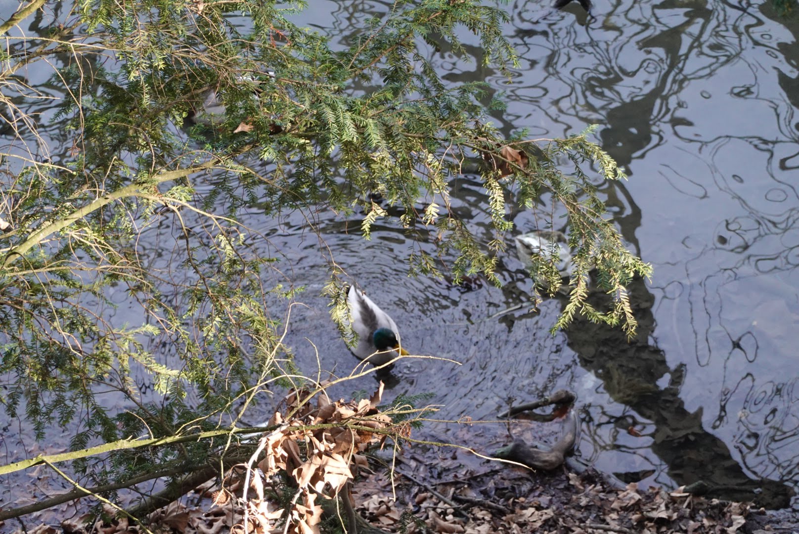 Photo n° 6 de l'avis de D. fait le 11/03/2024 à 08:32