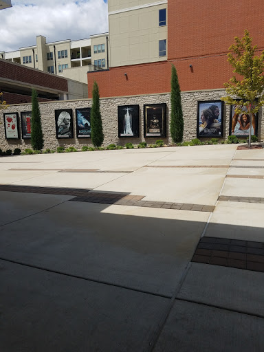 Movie Theater «AMC Streets Of St Charles 8», reviews and photos, 311 Lombard St, St Charles, MO 63303, USA