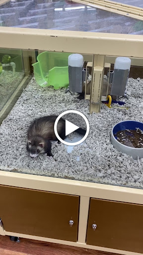 Pet Supply Store «Pet Supermarket», reviews and photos, 4500 N State Rd 7, Pompano Beach, FL 33073, USA