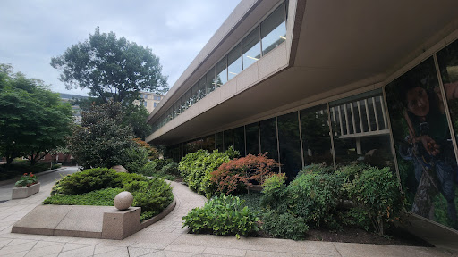 Museum «National Geographic Museum», reviews and photos, 1145 17th Street NW, Washington, DC 20036, USA