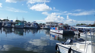 Photos of Spirit Snorkeling