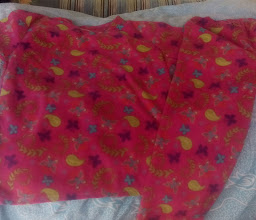 Dionisio Acosta Garden photo