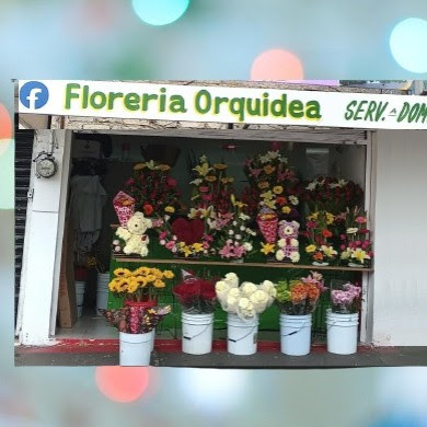 FLORERIA ORQUIDEA