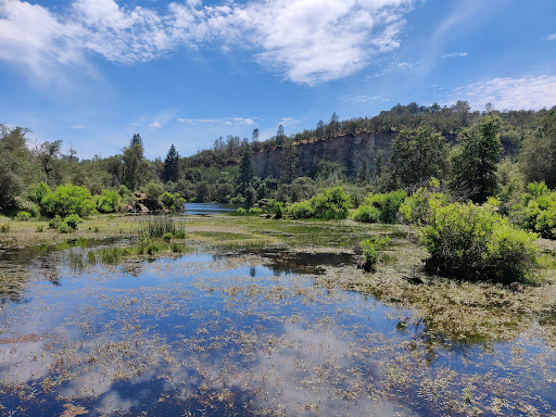 Nature Preserve «Black Swan Trail», reviews and photos, Mooney Flat Rd, Smartsville, CA 95977, USA