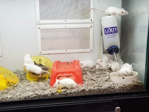 Pet Supply Store «Petco Animal Supplies», reviews and photos, 181 North 545 West, West Bountiful, UT 84087, USA