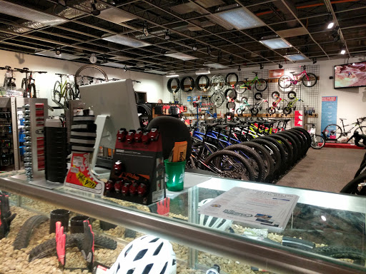 Outdoor Sports Store «Alpine Shop - Kirkwood, MO», reviews and photos, 440 N Kirkwood Rd, Kirkwood, MO 63122, USA