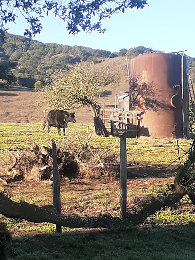 Golf Club «Rancho Maria Public Golf Course», reviews and photos, 1950 CA-1, Santa Maria, CA 93455, USA