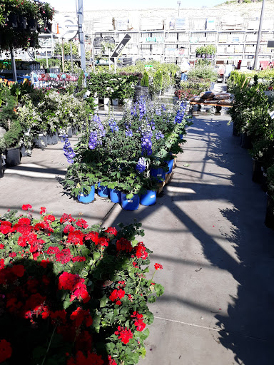 Home Improvement Store «The Home Depot», reviews and photos, 5500 AZ-69, Prescott Valley, AZ 86314, USA