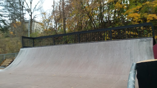 Lenox Skate Park image 6