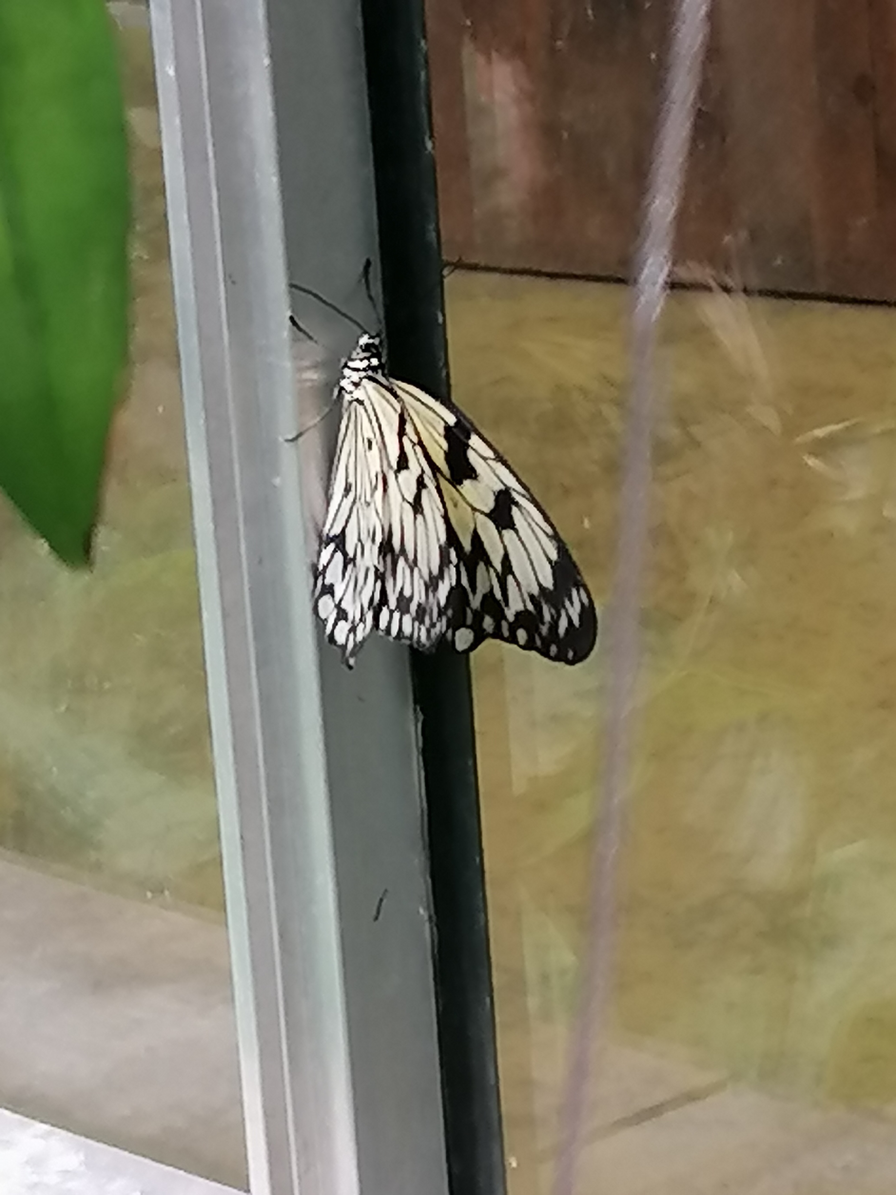 Photo n° 10 de l'avis de Sandrine.o fait le 07/05/2023 à 16:19