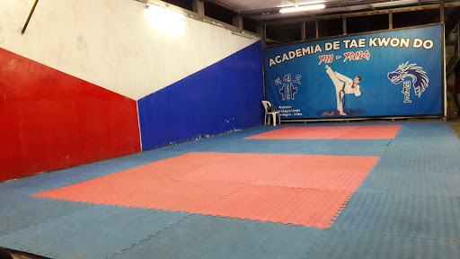 Academia De Taekwondo Yin Yang Loayza - Sede Huaycan
