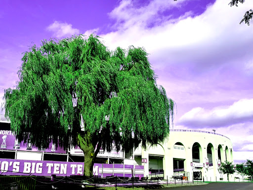 American Football Field «Ryan Field», reviews and photos, 1501 Central St, Evanston, IL 60201, USA