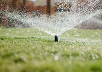 Erasmo's Gardening Service - Photo 3 - Car repair in , Torrance