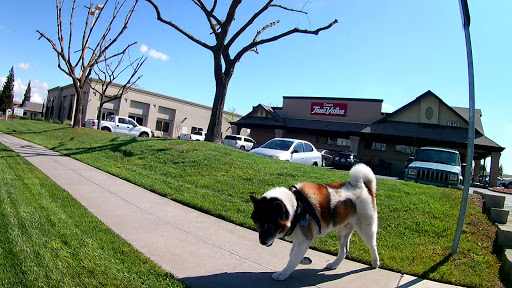 Home Improvement Store «Clovis True Value», reviews and photos, 1890 Shaw Ave, Clovis, CA 93611, USA