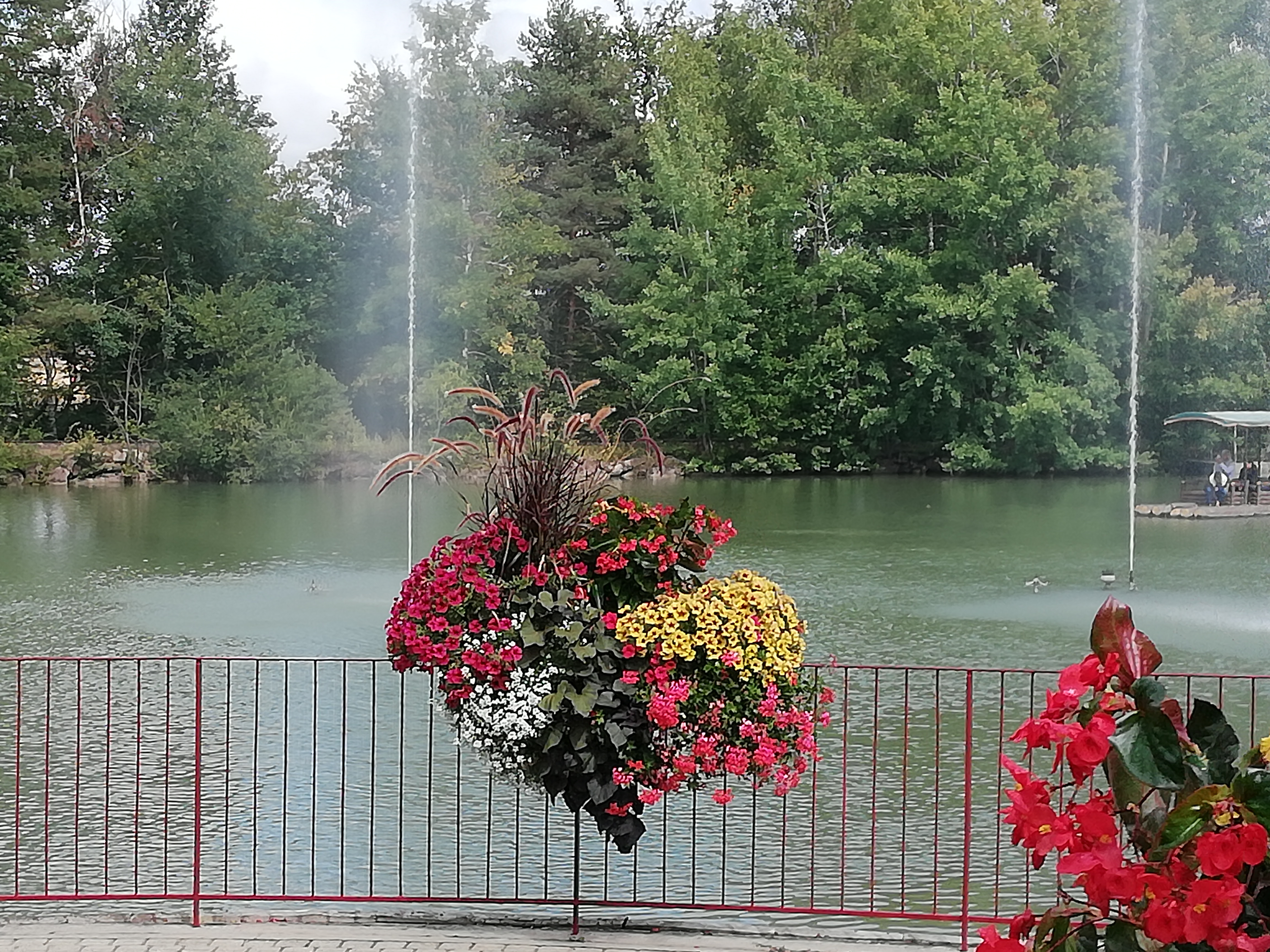Photo n° 14 de l'avis de BEATRICE.I fait le 10/09/2019 à 18:21
