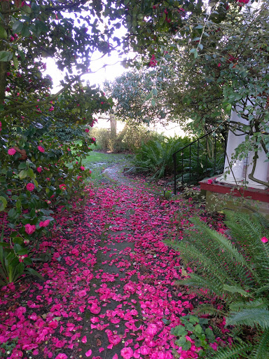 Banquet Hall «Gentle House», reviews and photos, 855 Monmouth Ave N, Monmouth, OR 97361, USA