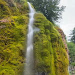 Photo n°2 de l'avis de Tom.! fait le 14/08/2023 à 08:17 sur le  Nohner Mühle à Nohn