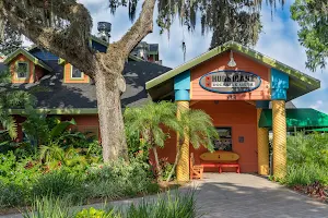 Hurricane Dockside Grill-Tavares image