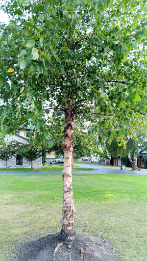 History Museum «Antique Boat Museumsw», reviews and photos, 750 Mary St, Clayton, NY 13624, USA