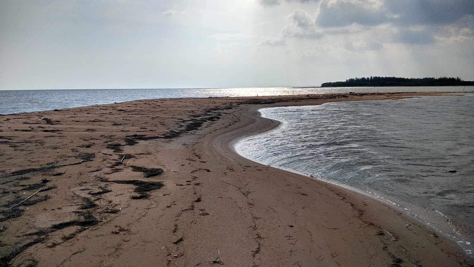 Foto de Rajamadam Beach ubicado en área natural