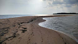 Zdjęcie Rajamadam Beach położony w naturalnym obszarze