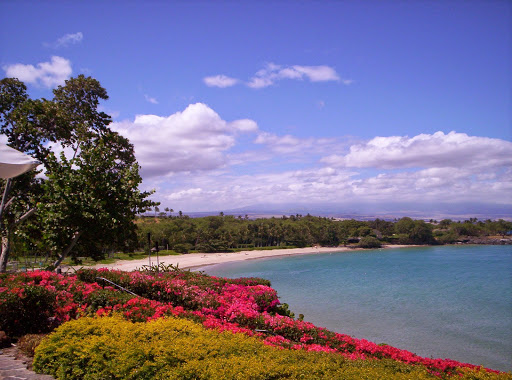 5005 W Royal Ln #294, Irving, TX 75063, USA