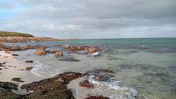 Plage Sainte-Anne'in fotoğrafı vahşi alan