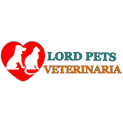 Veterinaria Lord Pets - Veterinario