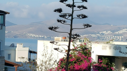 Smartline Riva Bodrum Resort Otel